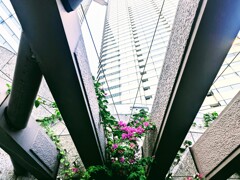 都会のオアシスの休日