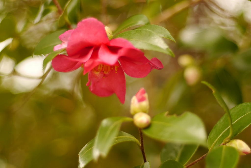 もう良いみたい