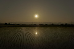 田園