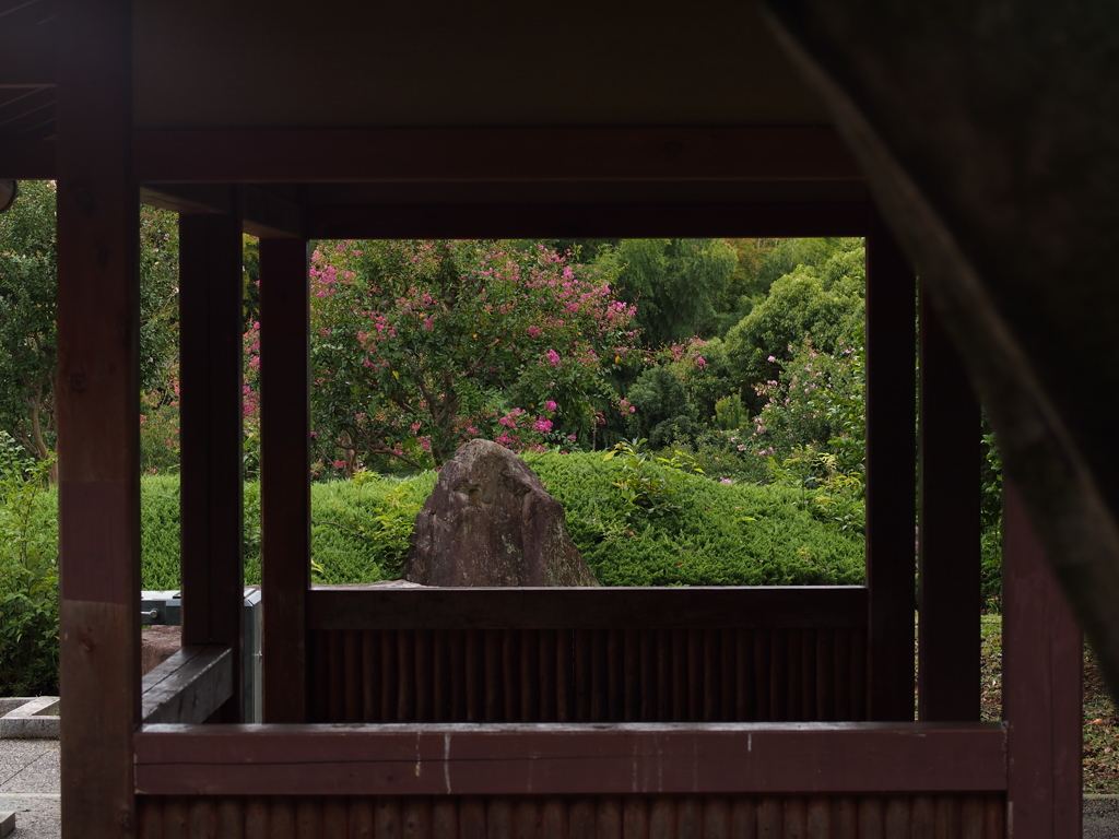 淡秋の窓景