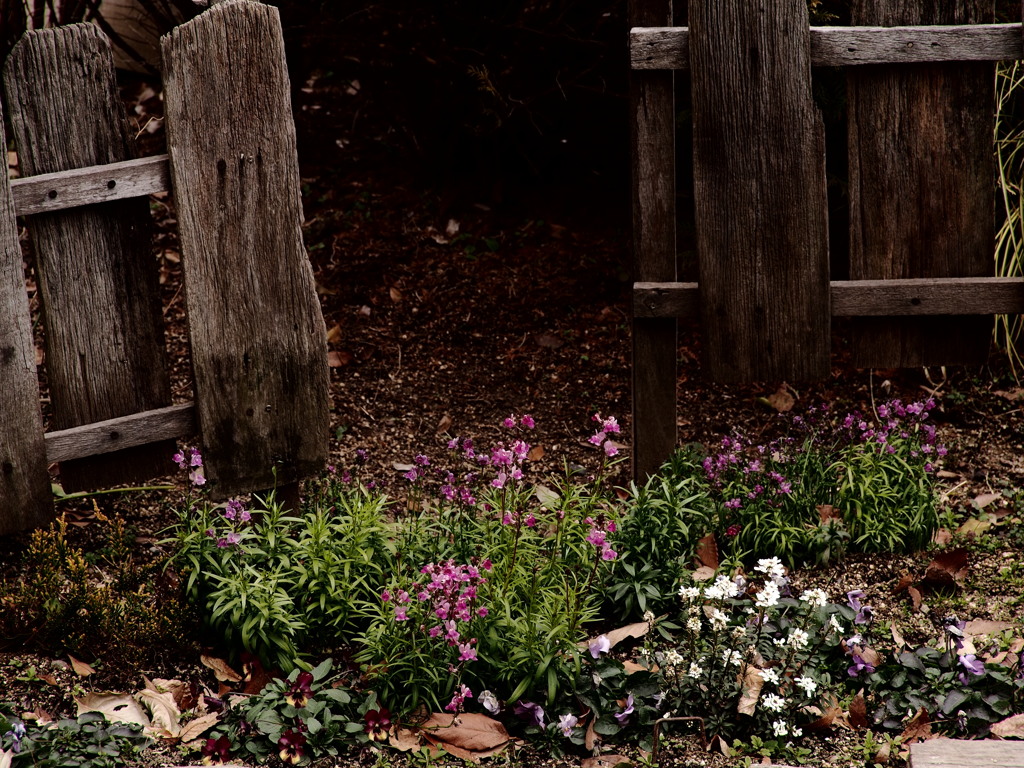 サンセット通りのサンセットガーデン