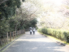 4月の眩しい日射し