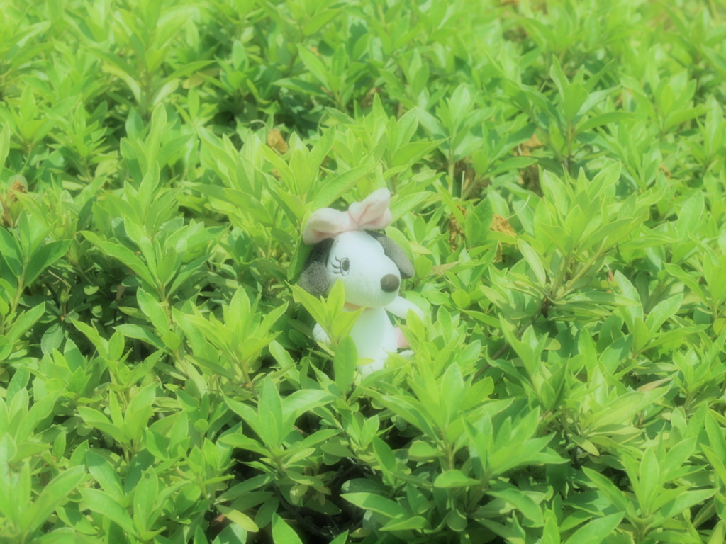 置き去りにされた悲しみは