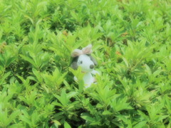 置き去りにされた悲しみは