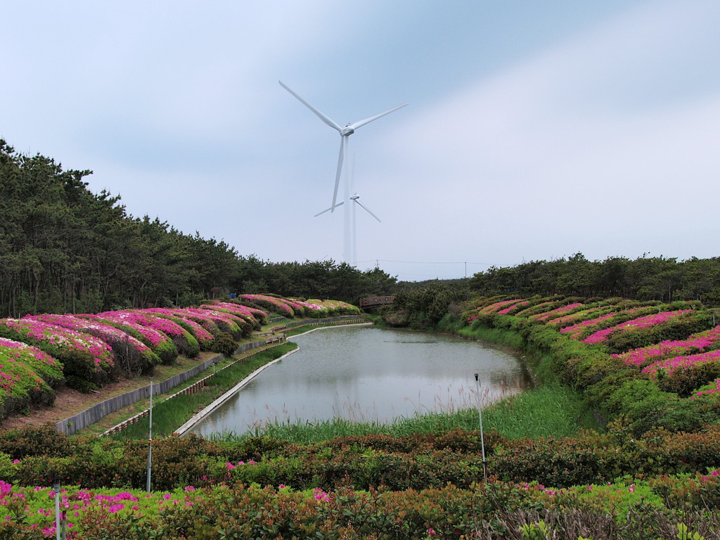 これからの未来