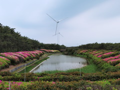 これからの未来