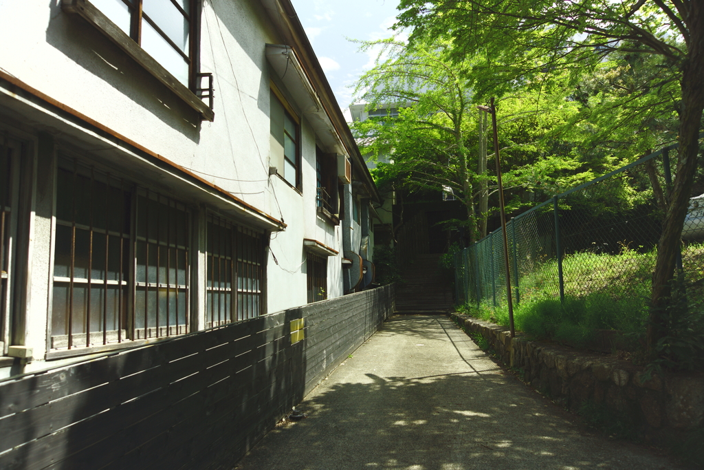 横路小道