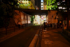 蝶夜燈