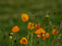 とりあえず。暑くなるまで