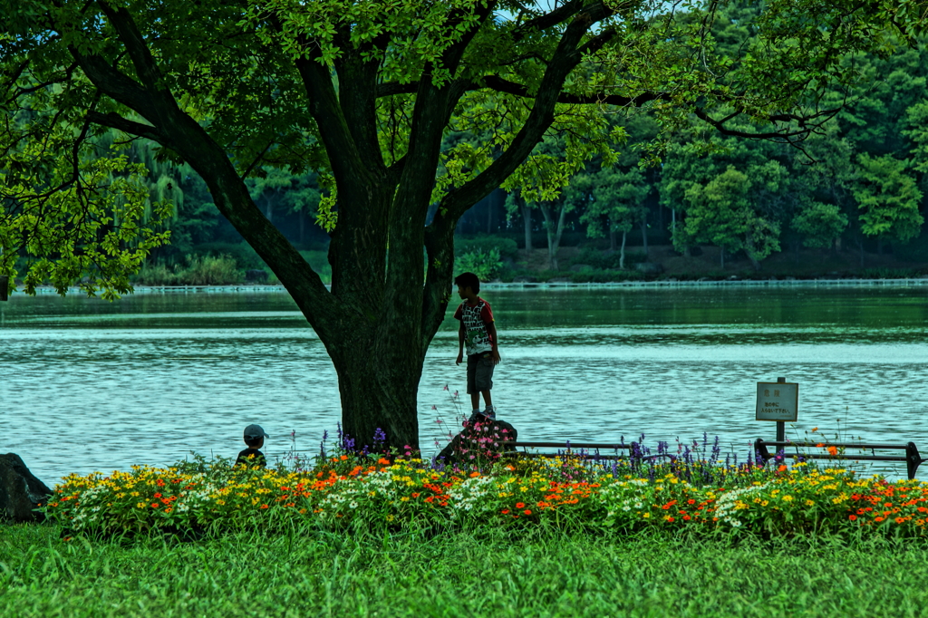 水と木と花と。そして少年