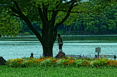 水と木と花と。そして少年