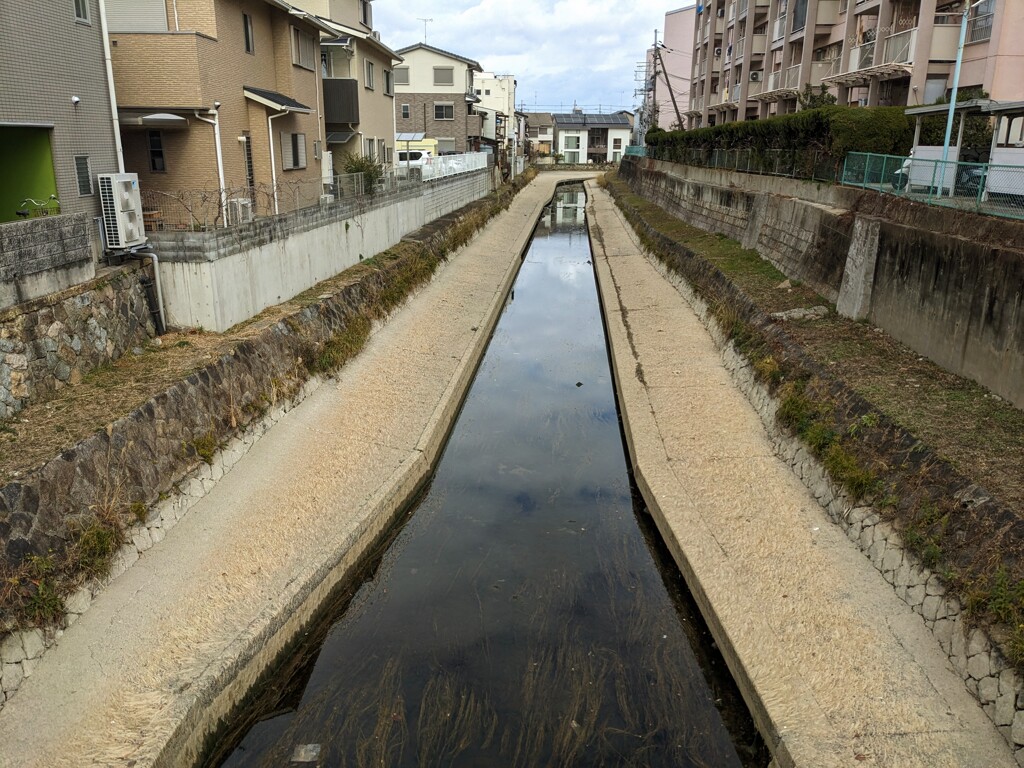 疎水の橋から