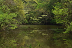 森林浴槽