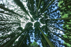 手に届く白い雲