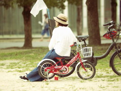 爽やかな高温
