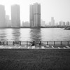 都会のOASIS