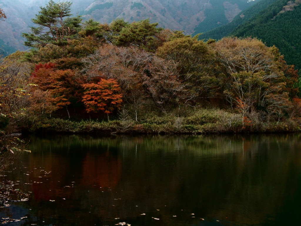 秋の湖