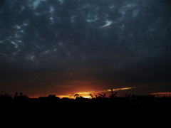 あしたは晴れる