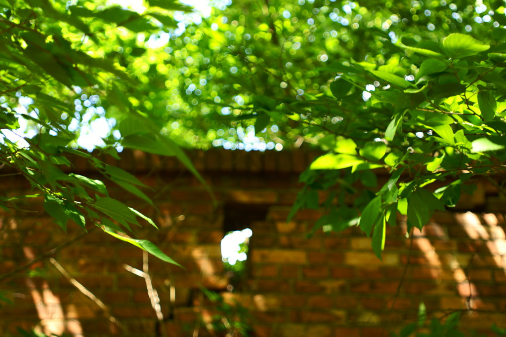 教えてよあの日のコト