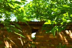 教えてよあの日のコト