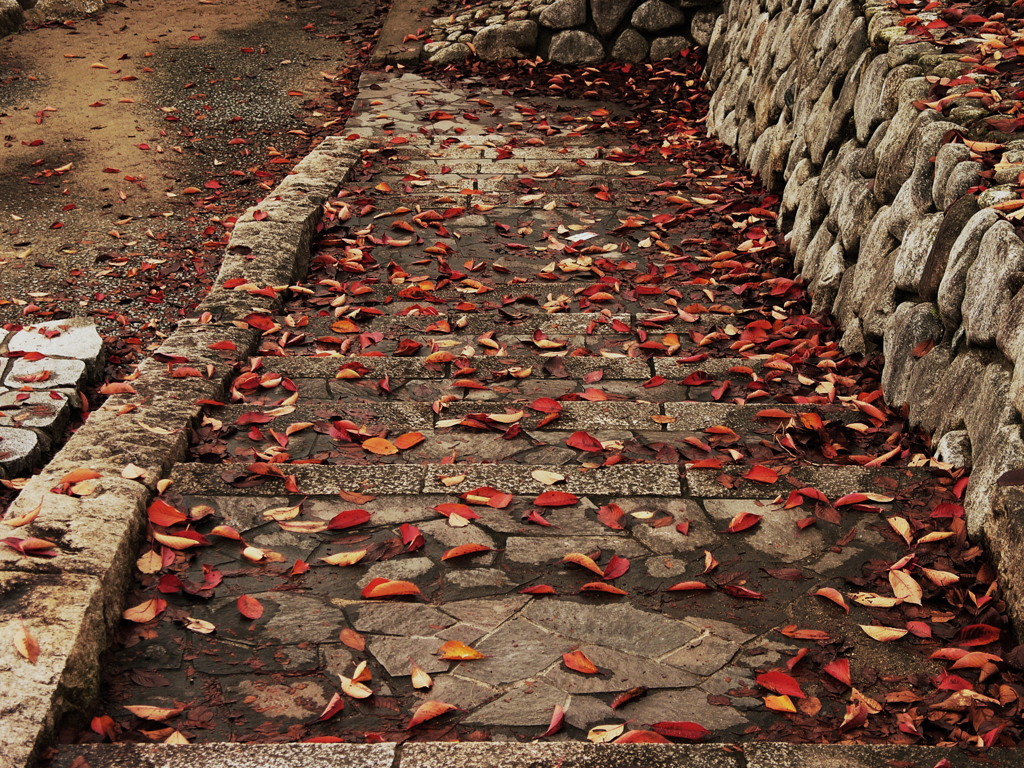 河原へと続く道