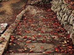 河原へと続く道