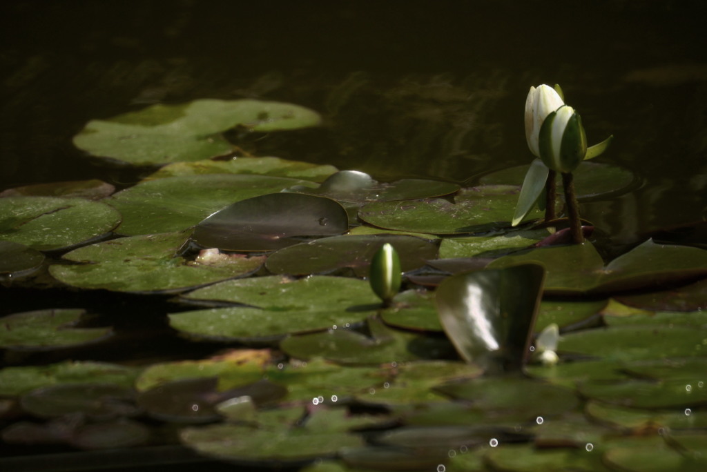 これでいて幸せ。