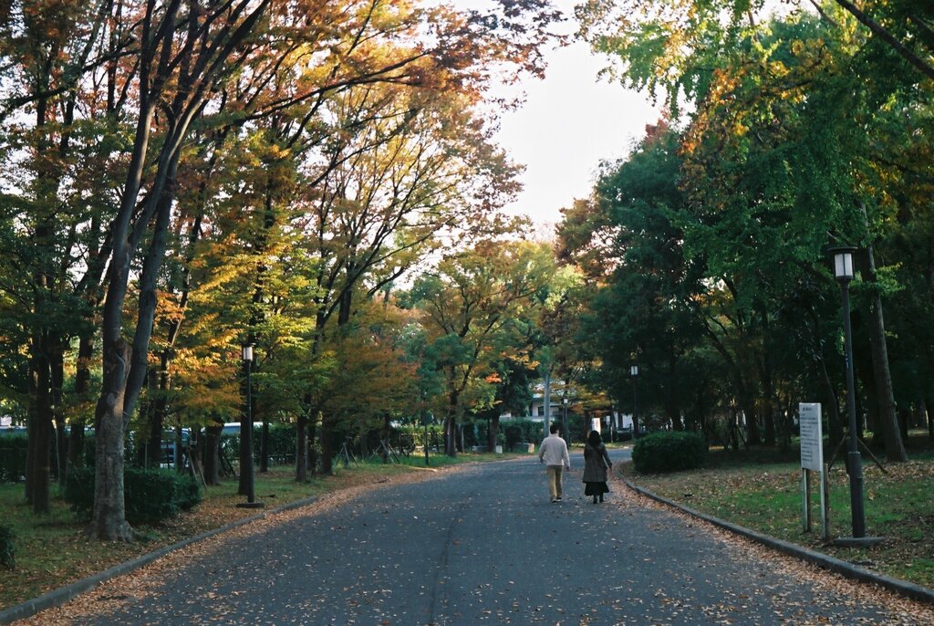 散歩道