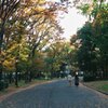 散歩道