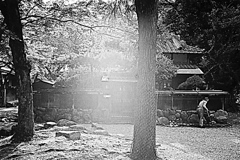 開店前・ヒトとキ