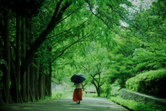 なつの陽