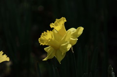 わたしには女神