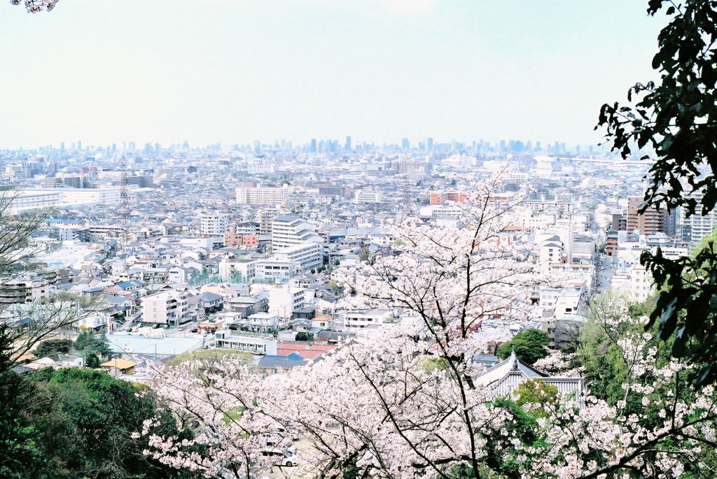 遥かなる大阪の街・春