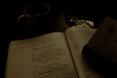 物理の時間