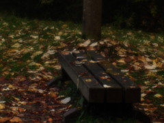 夢のベンチでひと休み