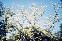 この暖かさは何だ。