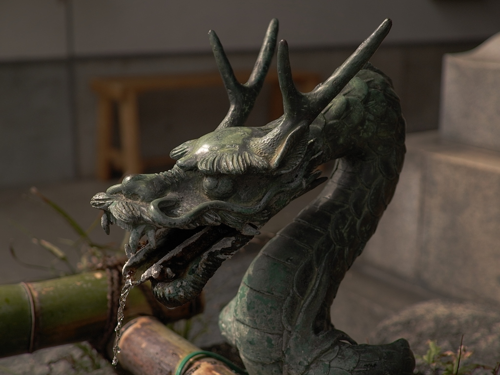 わたしもそう思う