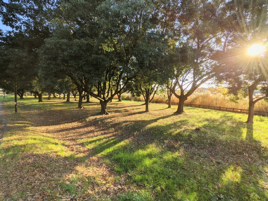 秋風の通り道