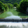緑の堰堤