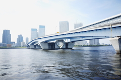 美しい架橋