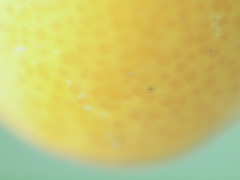 sweetな誘惑 sweetな誘惑