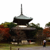 清涼寺 多宝塔