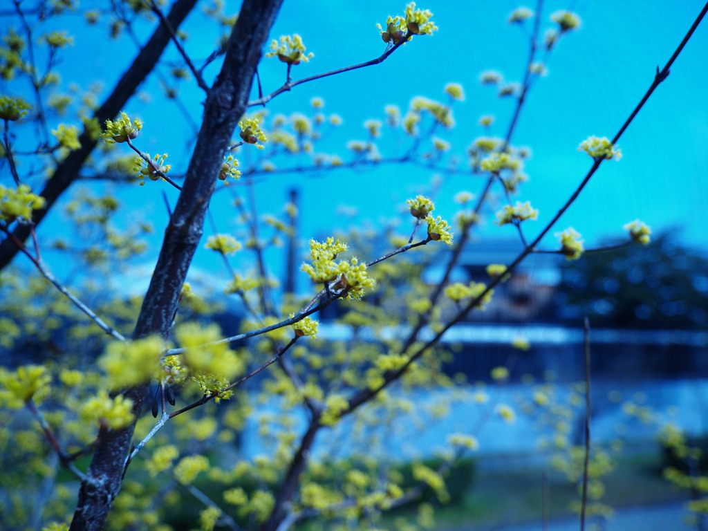 青い空