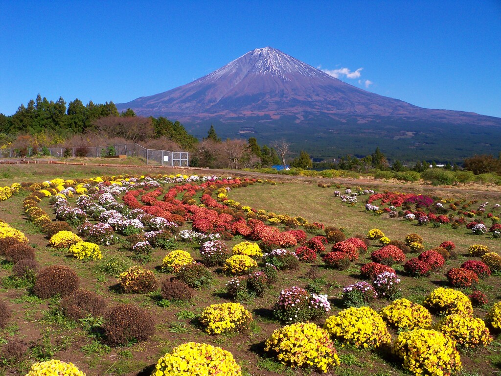 なんって日だ