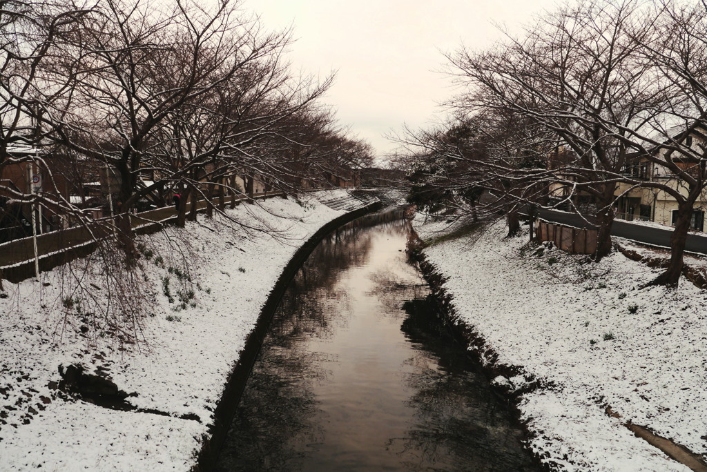 雪の佐保川