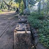 雀のベンチ