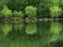 陸地の緑地