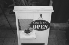 店先スナップ