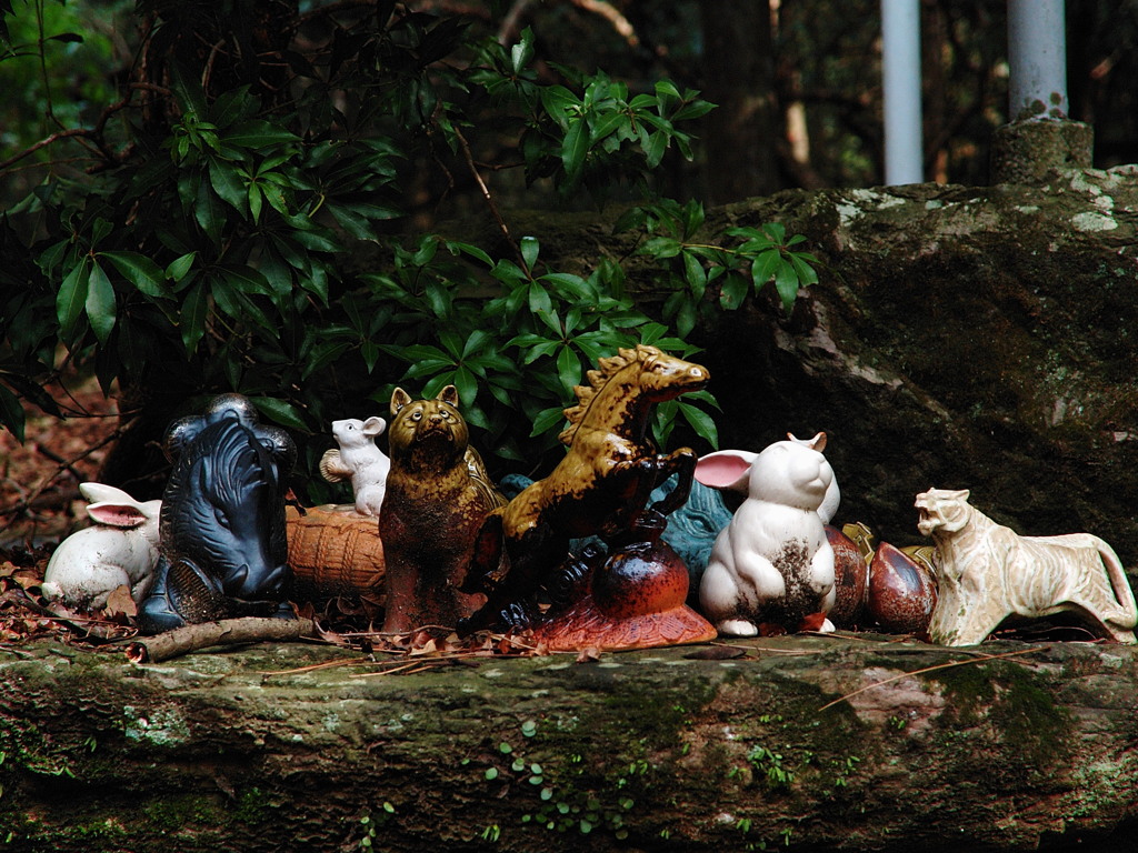 あのときの一年