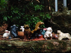 あのときの一年